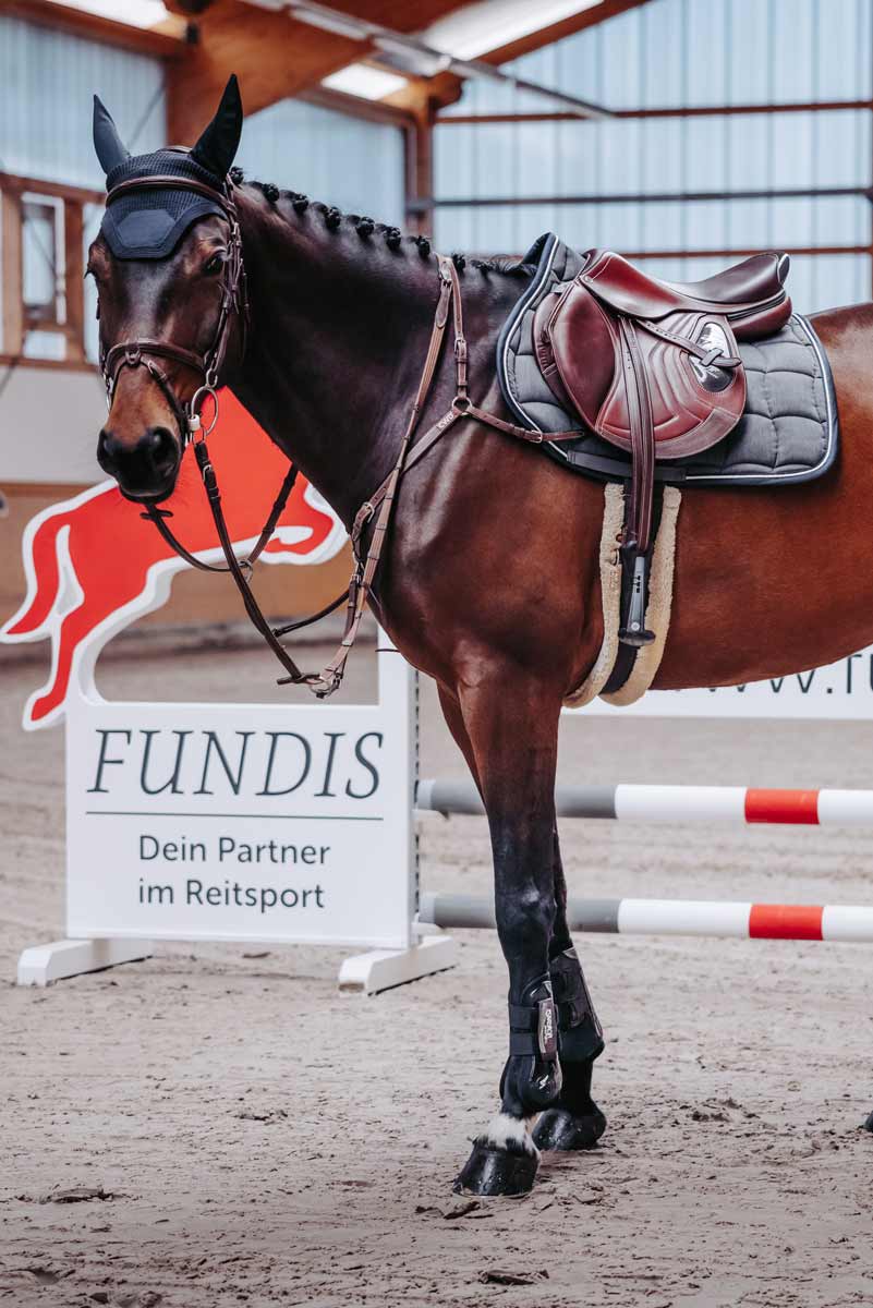 Shop the Look von Julia | Shop the Look | Fundis Reitsport