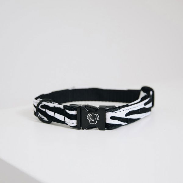 Kentucky Dogwear Hundehalsband Dog Collar Zebra