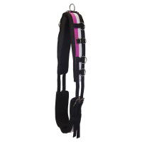 Imperial Riding Longiergurt Nylon Deluxe Imperial Riding Longiergurt Nylon Deluxe