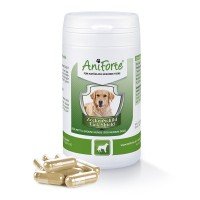 AniForte® Ergänzungsfutter ZeckenSchild Kapseln für Hunde