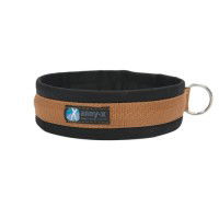 Annyx Hundehalsband Steckhalsband Fun & Protect Annyx Hundehalsband Steckhalsband Fun & Protect