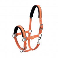 Eskadron Halfter Pin Buckle Classic Sports FS22, Nylonhalfter Eskadron Halfter Pin Buckle Classic Sports FS22, Nylonhalfter