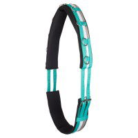 Imperial Riding Longiergurt Nylon Deluxe Imperial Riding Longiergurt Nylon Deluxe