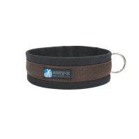 Annyx Hundehalsband Steckhalsband Fun & Protect Annyx Hundehalsband Steckhalsband Fun & Protect
