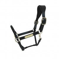Prämie Kentucky Horsewear Halfter Anatomic (black, COB) ab 229 € Einkaufswert