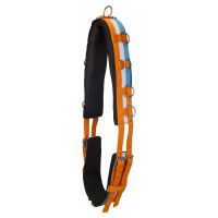 Imperial Riding Longiergurt Nylon Deluxe Imperial Riding Longiergurt Nylon Deluxe