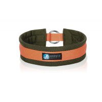 Annyx Hundehalsband Zug-Stopphalsband Fun & Protect Annyx Hundehalsband Zug-Stopphalsband Fun & Protect